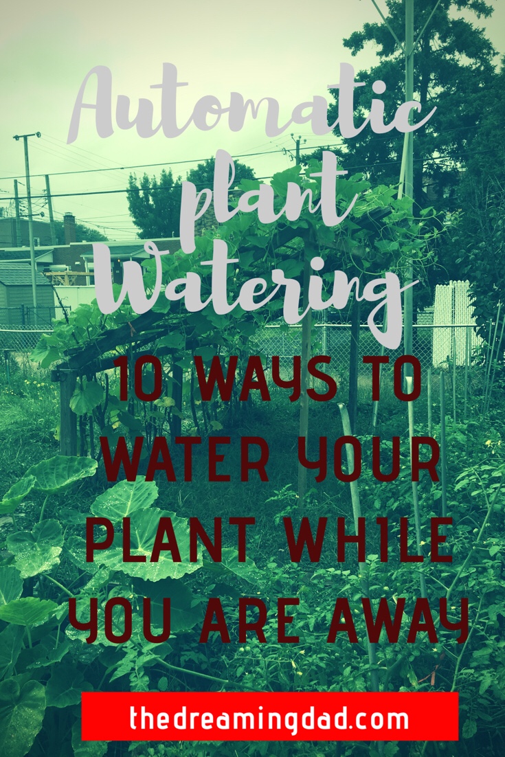 9 ways to Automatically water plants when you are away